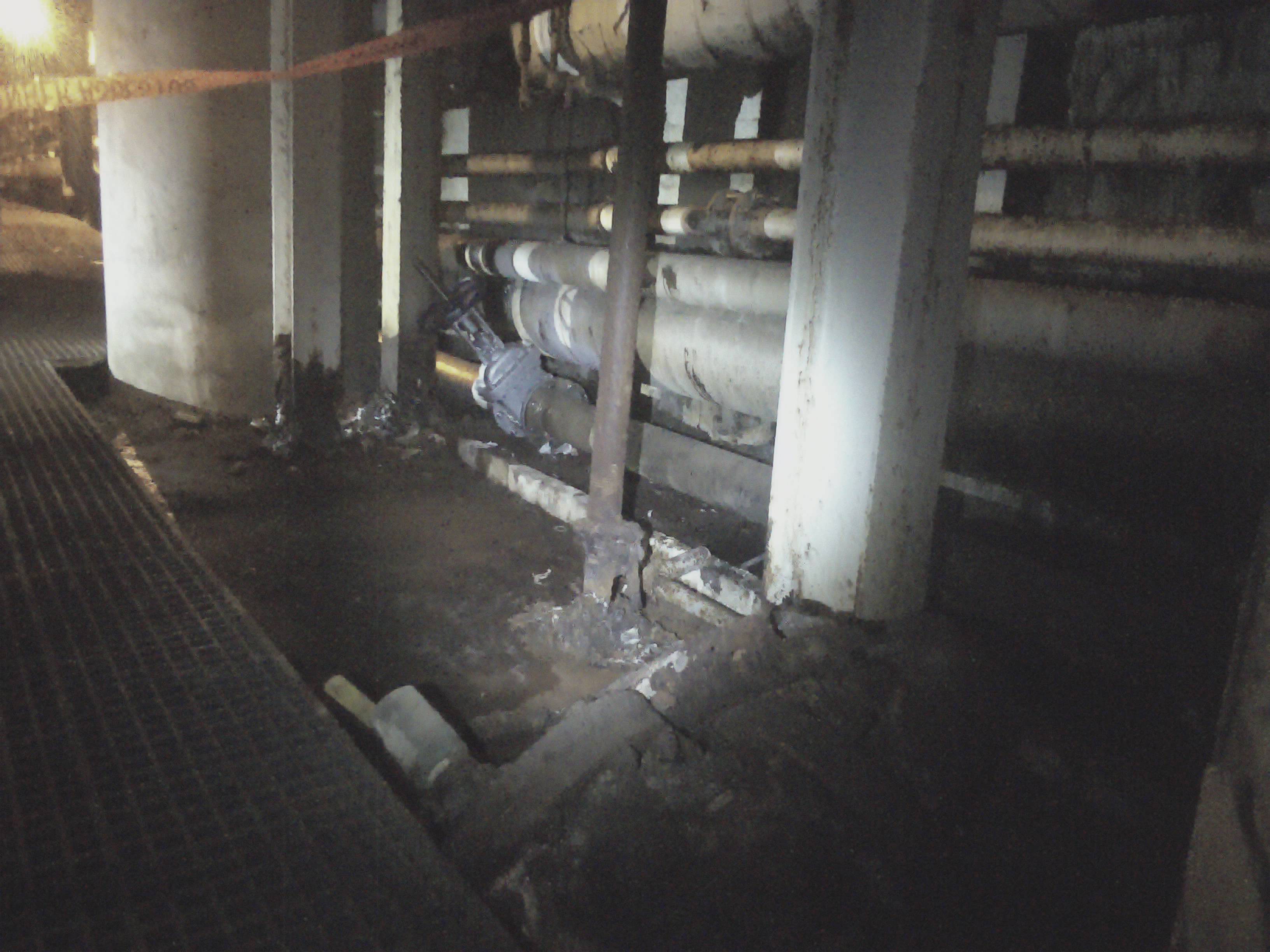 VIS: Ref 115646 - VIS